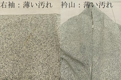 平和屋着物■訪問着 枝梅文 たたき染め 金彩 正絹 逸品 BAAX1477mz