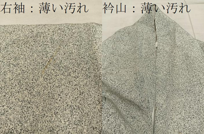 平和屋着物■訪問着 枝梅文 たたき染め 金彩 正絹 逸品 BAAX1477mz