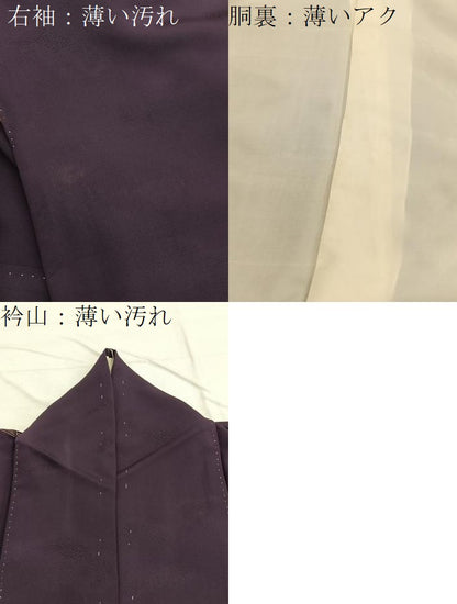 平和屋着物■訪問着 流水花文 金彩 正絹 逸品 BAAX2017hv
