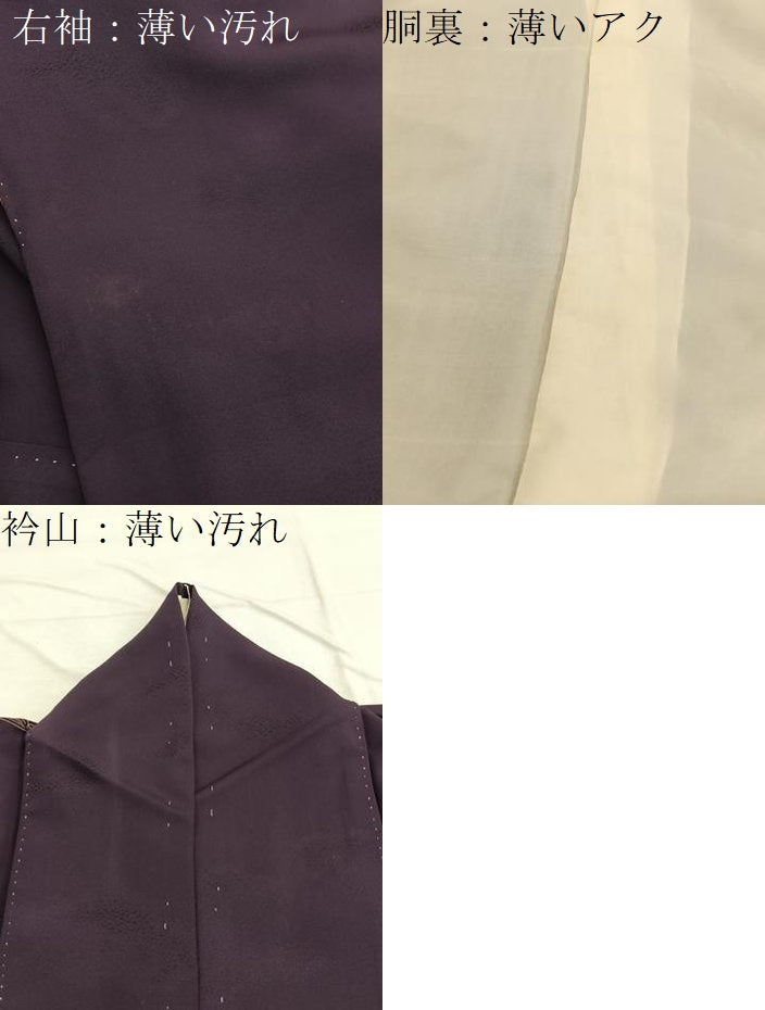 平和屋着物■訪問着 流水花文 金彩 正絹 逸品 BAAX2017hv