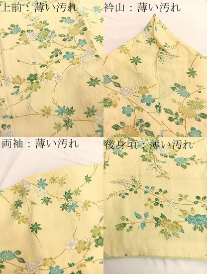 平和屋着物■上質な小紋 枝花文 金彩 正絹 逸品 BAAX2034hv