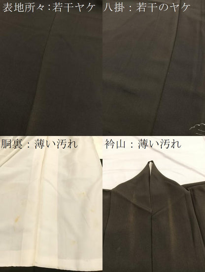 平和屋着物■豪華黒留袖　手描き　駒刺繍　飛鶴風景文　銀彩　正絹　逸品　BAAX2053hv