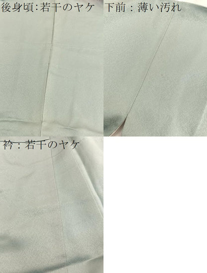 平和屋着物■訪問着 風景文 暈し染め 金彩 正絹 逸品 BAAX2054hv