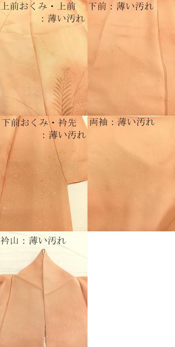 平和屋着物■訪問着　刺繍　草葉文　たたき染め　正絹　逸品　BAAX2070hv