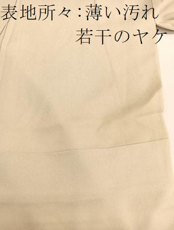平和屋着物■豪華色留袖　立波花文　金彩　正絹　逸品　BAAX2091hv