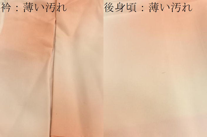 平和屋着物■訪問着 地紋起こし 牡丹 暈し染め 正絹 逸品 BAAX2093hv