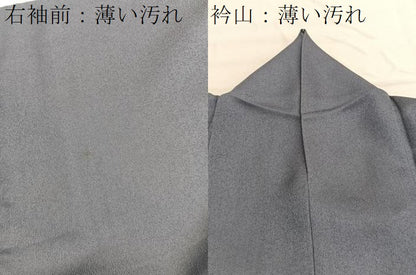 平和屋着物■訪問着　仕覆草葉文　暈し染め　金彩　正絹　逸品　BAAX2096hv