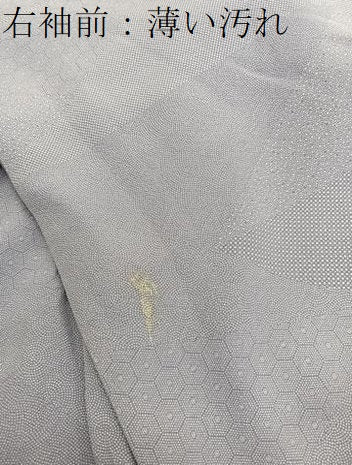 平和屋着物■江戸小紋　切嵌文様　正絹　逸品　BAAX2111hv