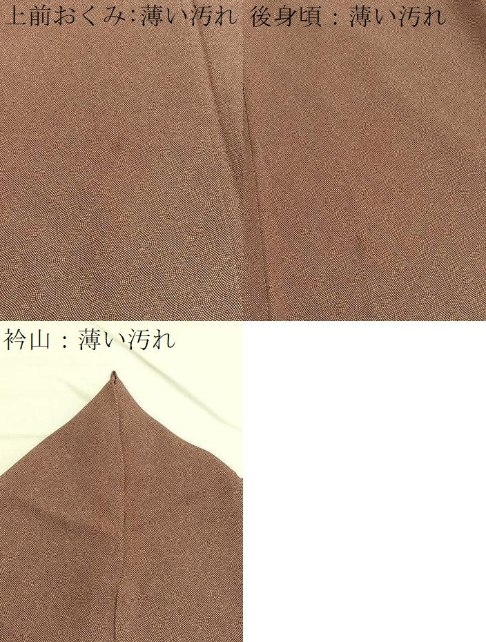 平和屋着物■江戸小紋　立涌文様　正絹　逸品　BAAX2113hv