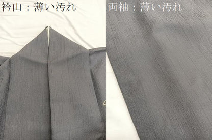 平和屋着物■訪問着 刺繍 地紙斜線文 銀彩 正絹 逸品 BAAX2119hv