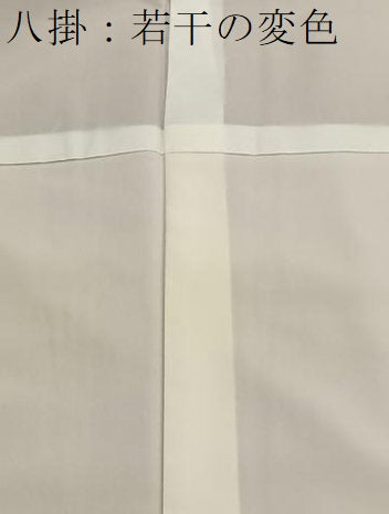 平和屋着物■小紋 吹き寄せ文 暈し染め 洗える着物 BAAX2130hv