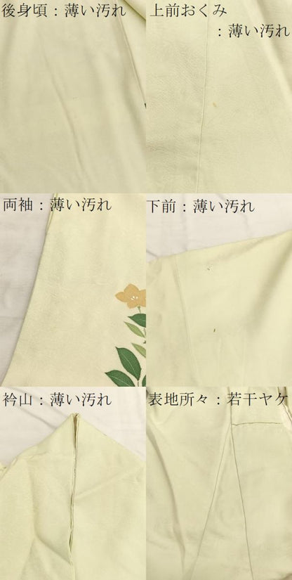 平和屋着物■訪問着 型染め 枝花文 金彩 正絹 逸品 BAAX2133hv