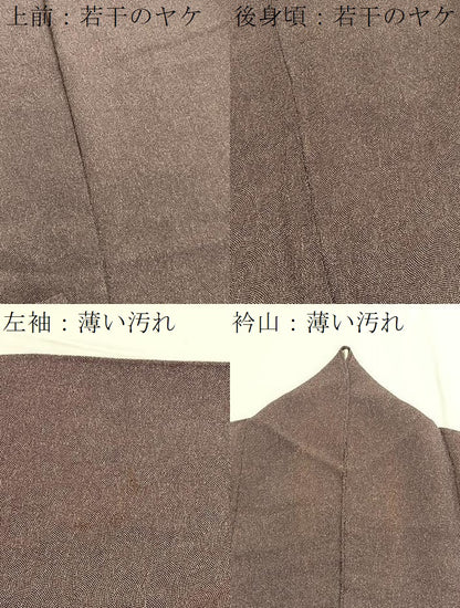 平和屋着物■江戸小紋　鮫小紋柄　鬼しぼ縮緬　正絹　逸品　BAAX2135hv