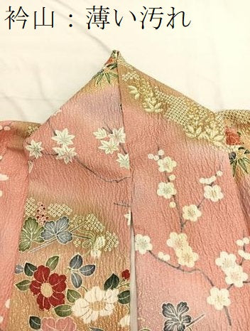 平和屋着物■上質な小紋　ふくれ織　草花文　暈し染め　金彩　正絹　逸品　BAAX2147hv
