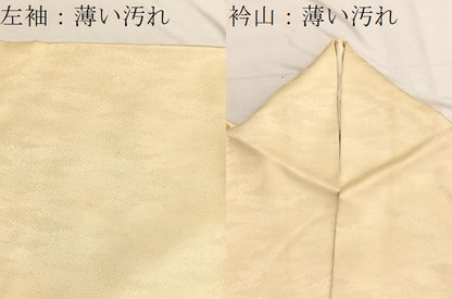 平和屋着物■訪問着　駒刺繍　青海波橘文　金彩　正絹　逸品　BAAX2153hv