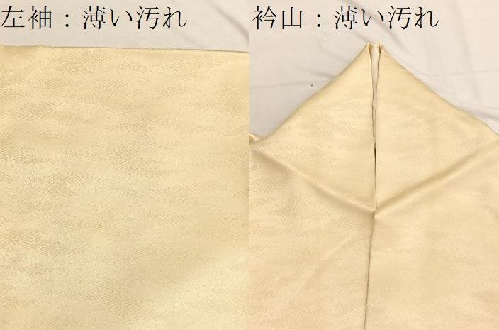 平和屋着物■訪問着　駒刺繍　青海波橘文　金彩　正絹　逸品　BAAX2153hv