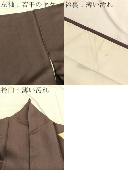 平和屋着物■訪問着　地紙花車文　金彩　正絹　逸品　BAAX2157hv