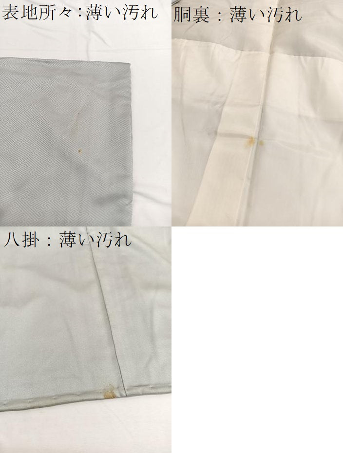 平和屋着物■豪華色留袖　鴛鴦流水花文　暈し染め　金彩　正絹　逸品　BAAX2172hv