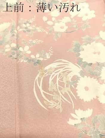 平和屋着物■訪問着 刺繍 牡丹花文 正絹 逸品 BAAX2178hv
