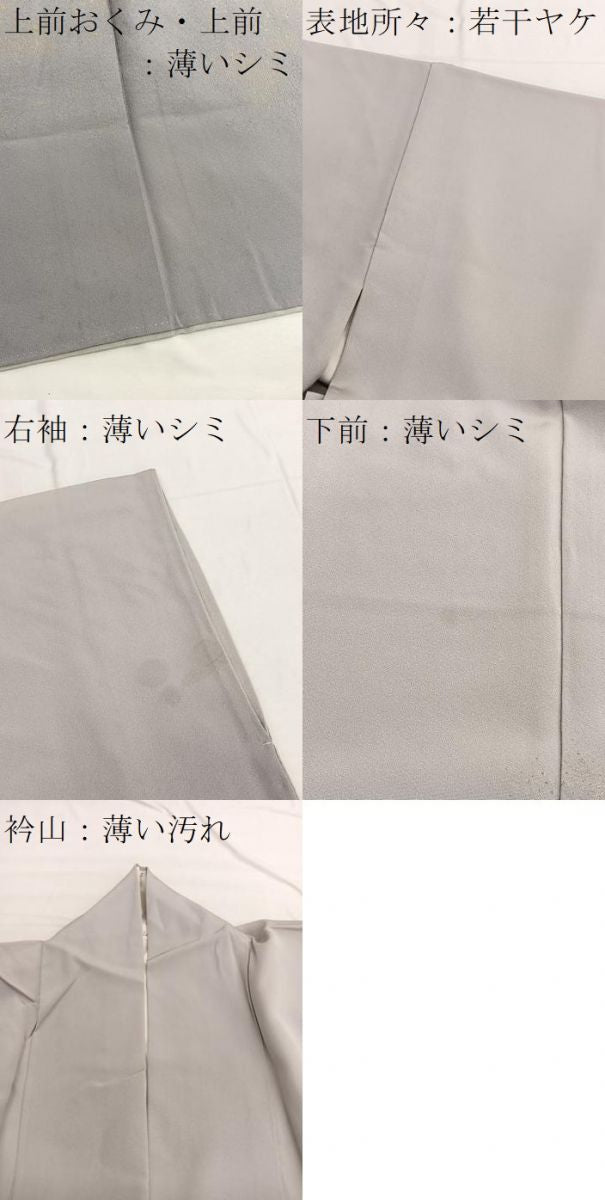 平和屋着物■訪問着　寿光織　箔散らし文様　暈し染め　金糸　正絹　逸品　BAAX2185hv