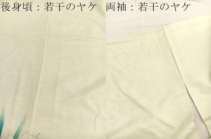 平和屋着物■訪問着 手描き カトレア 正絹 逸品 BAAX2190hv