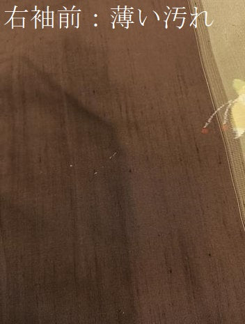 平和屋着物■上質な紬 舞蝶文 正絹 逸品 BAAX2329hv