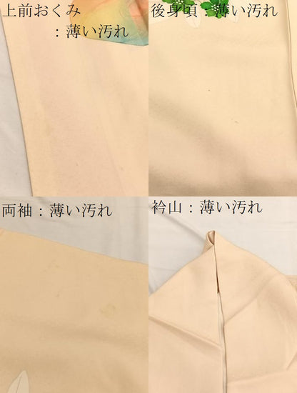 平和屋着物■訪問着　刺繍　流水花文　暈し染め　金彩　正絹　逸品　BAAX2342hv