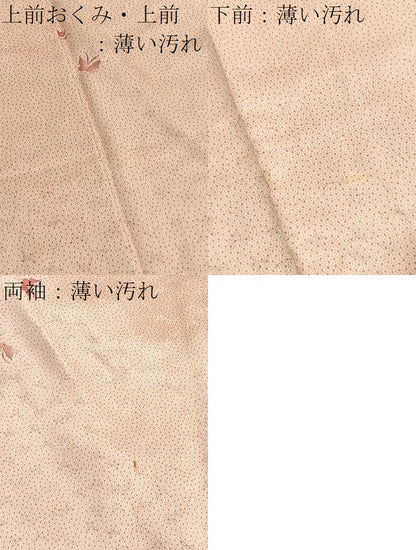 平和屋着物■上質な小紋　刺繍　舞蝶文　正絹　逸品　BAAX2346hv
