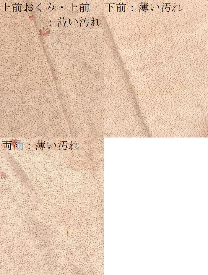 平和屋着物■上質な小紋　刺繍　舞蝶文　正絹　逸品　BAAX2346hv
