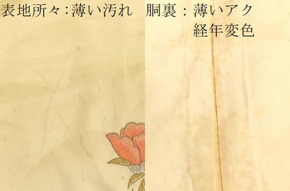 平和屋着物■豪華振袖　総刺繍　駒刺繍　孔雀牡丹花文　暈し染め　金銀糸　正絹　逸品　BAAX2365hv
