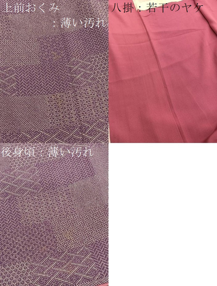 平和屋着物■江戸小紋　有職文様　正絹　逸品　BAAX2369hv