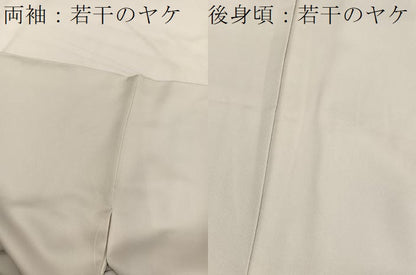 平和屋着物■訪問着　枝花文　正絹　逸品　BAAX2401hv