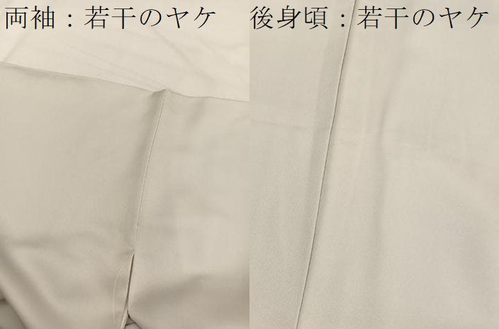 平和屋着物■訪問着　枝花文　正絹　逸品　BAAX2401hv