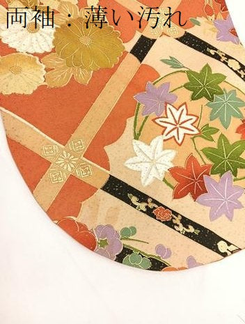 平和屋着物■豪華振袖　駒刺繍　菱天井花丸文　金彩　金通し地　正絹　逸品　BAAX2405hv