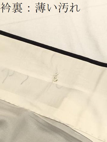 平和屋着物■上質な紬　亀甲花文　正絹　逸品　BAAX2423hv