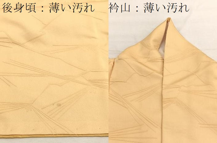 平和屋着物■上質な色無地　若松葉地紋　飴色　正絹　逸品　BAAX2434hv