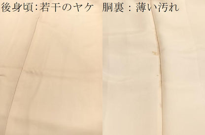 平和屋着物■訪問着　刺繍　草花文　暈し染め　銀彩　正絹　逸品　BAAX2436hv