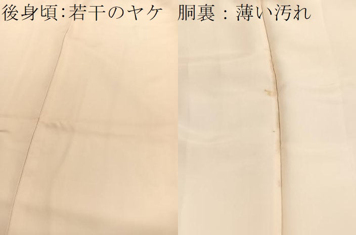 平和屋着物■訪問着　刺繍　草花文　暈し染め　銀彩　正絹　逸品　BAAX2436hv