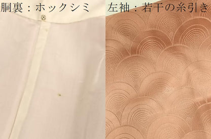 平和屋着物■上質な小紋 青海波 暈し染め 正絹 逸品 BAAX2448hv