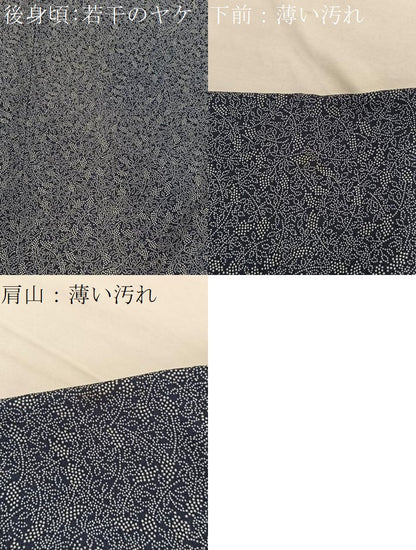 平和屋着物■江戸小紋　南天文　正絹　逸品　BAAX2478hv