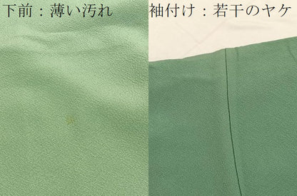 平和屋着物■上質な色無地　老竹色　正絹　逸品　未使用　BAAX2482hv