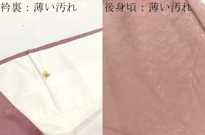 平和屋着物■上質な色無地　樹林地紋　鴇浅葱色　正絹　逸品　BAAX2506hv