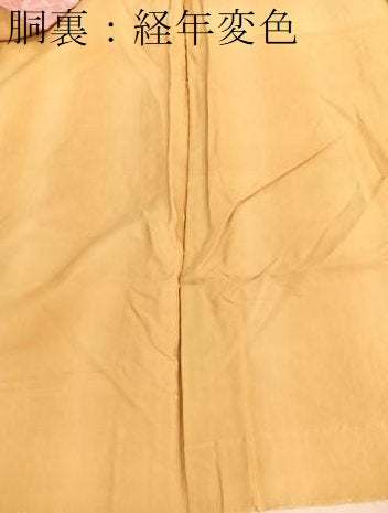 平和屋着物■上質な小紋　絞り　枝梅文　暈し染め　正絹　逸品　BAAX2511hv