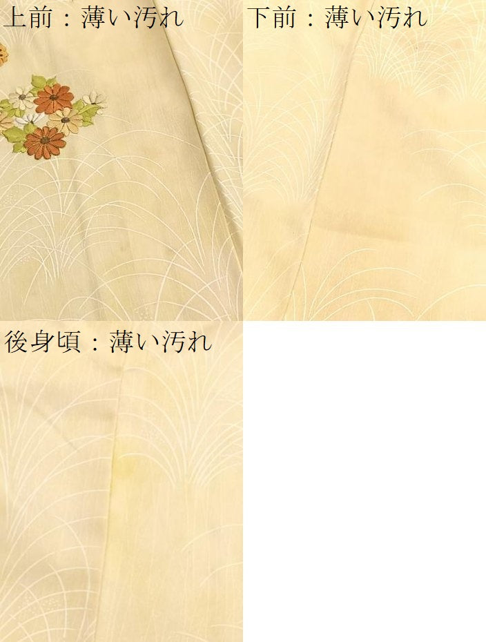 平和屋着物■訪問着　総刺繍　駒刺繍　草花文　暈し染め　正絹　逸品　BAAX2518hv
