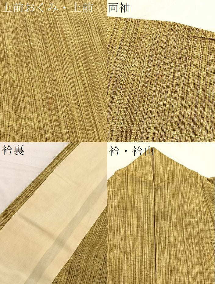 平和屋着物▽上質な紬　単衣　絣文様　正絹　逸品　BAAX2599hv