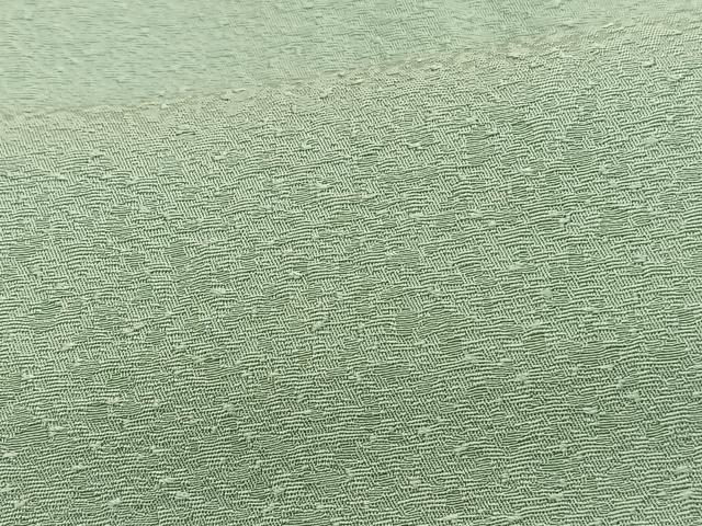平和屋着物●上質な色無地　紋意匠　夏虫色　正絹　逸品　BAAX2695hv
