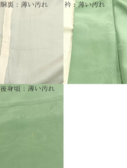 平和屋着物■上質な色無地　風景地紋　柳染色　正絹　逸品　BAAX2709hv