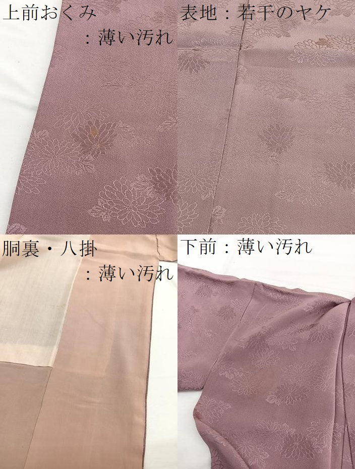 平和屋着物■上質な色無地　菊地紋　赭色　正絹　逸品　BAAX2717hv