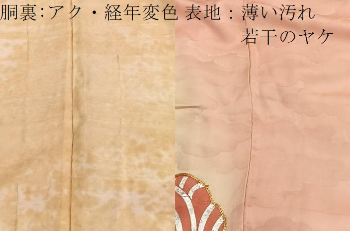 平和屋着物■豪華振袖　駒刺繍　雲取り花文　金銀彩　正絹　逸品　BAAX2719hv