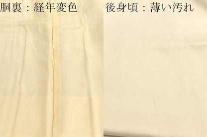 平和屋着物■訪問着　友禅　雪輪花文　正絹　逸品　BAAX2724hv